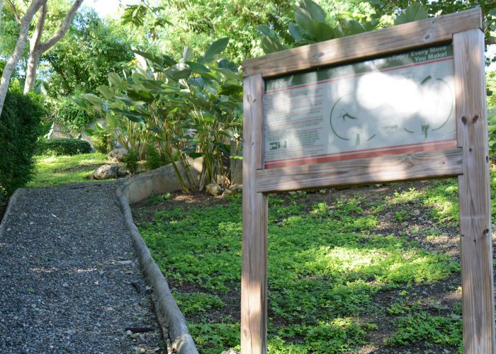 fitness-trail