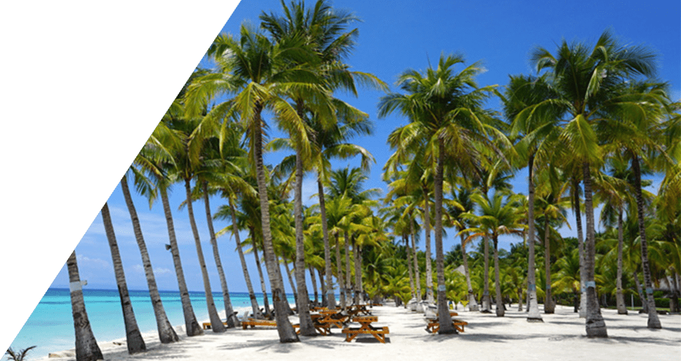 boracay banner